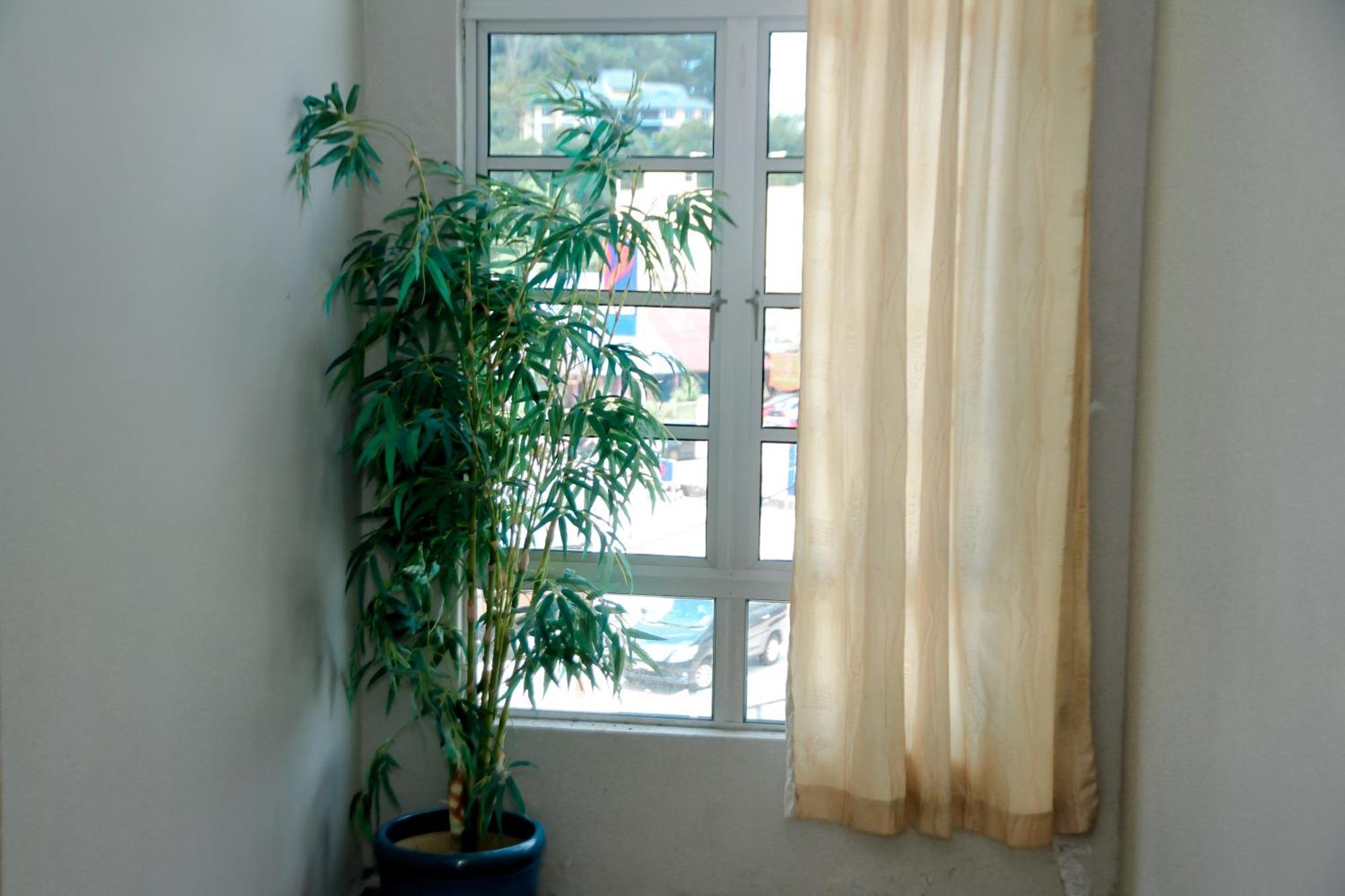 Hotel D View Mersing Zewnętrze zdjęcie